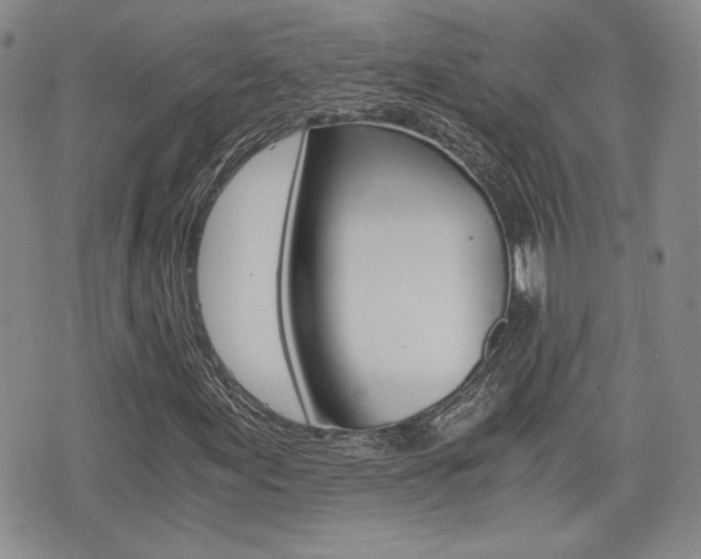 X0000076051155200609220902