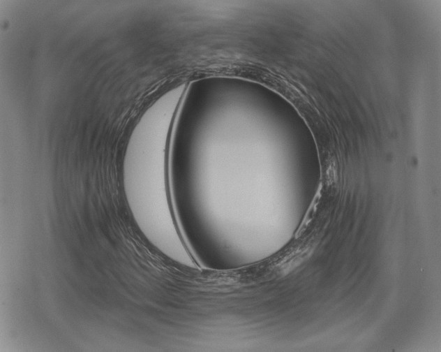 X0000076051156200609220902