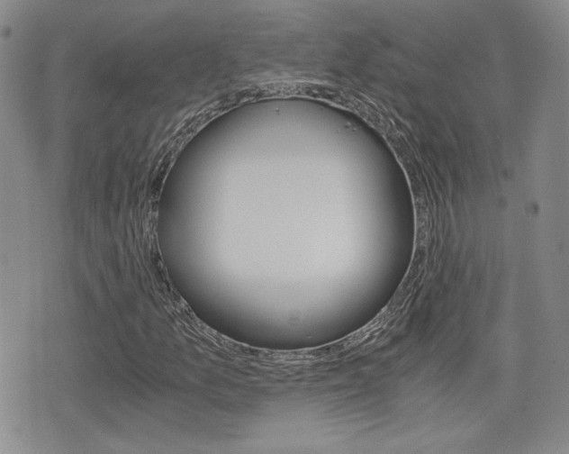 X0000076051157200609220902