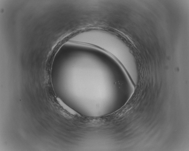 X0000076051160200609220902