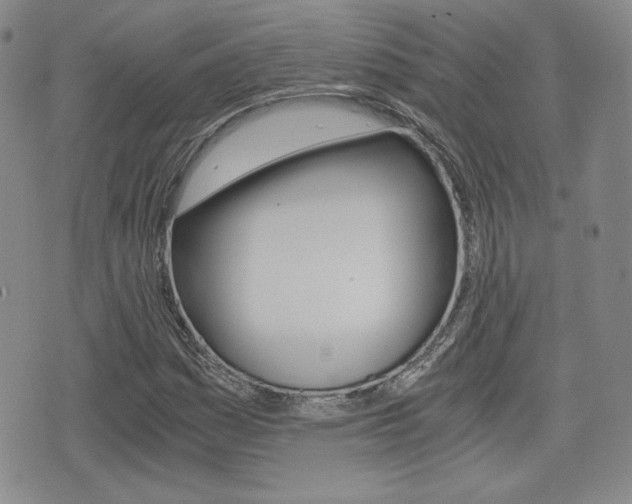 X0000076051161200609220902