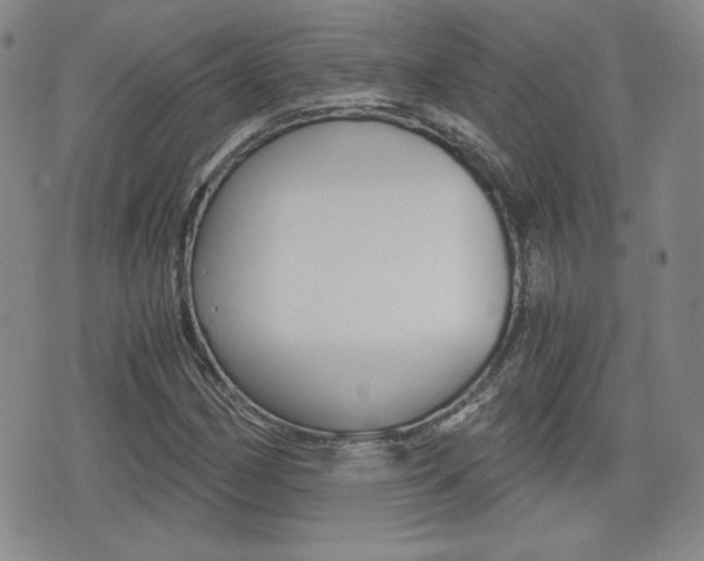X0000076051162200609220902