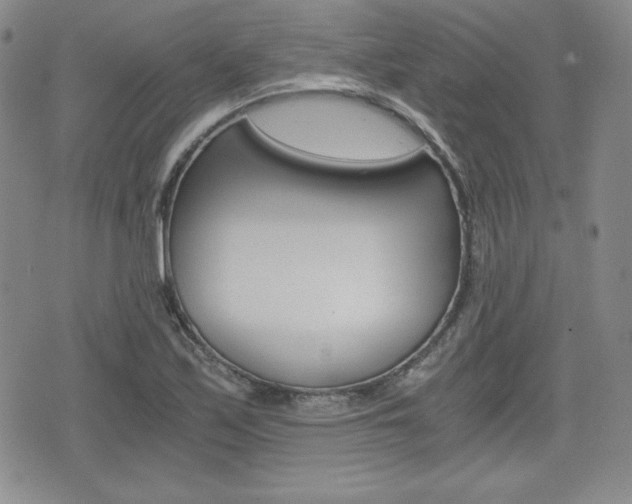 X0000076051171200609220902