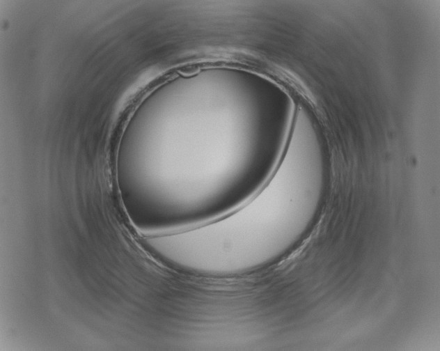 X0000076051172200609220902