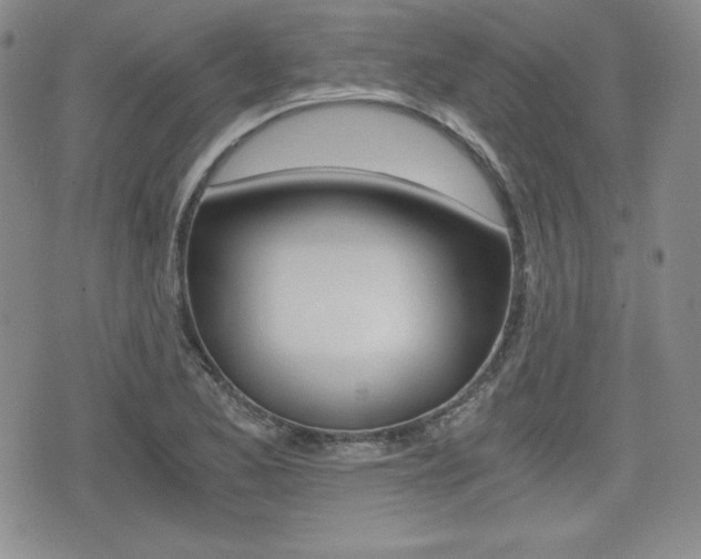 X0000076051173200609220902