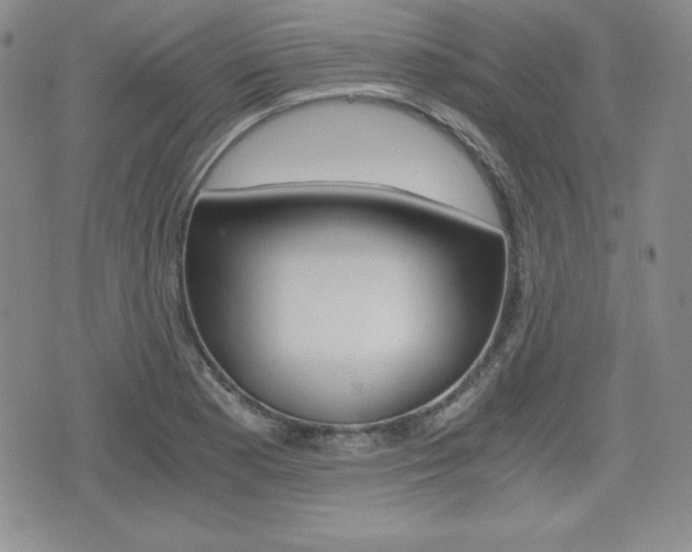 X0000076051177200609220902