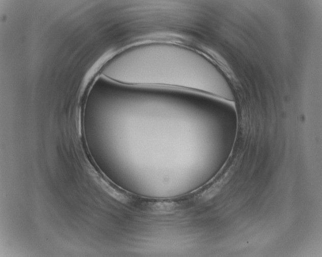 X0000076051180200609220902