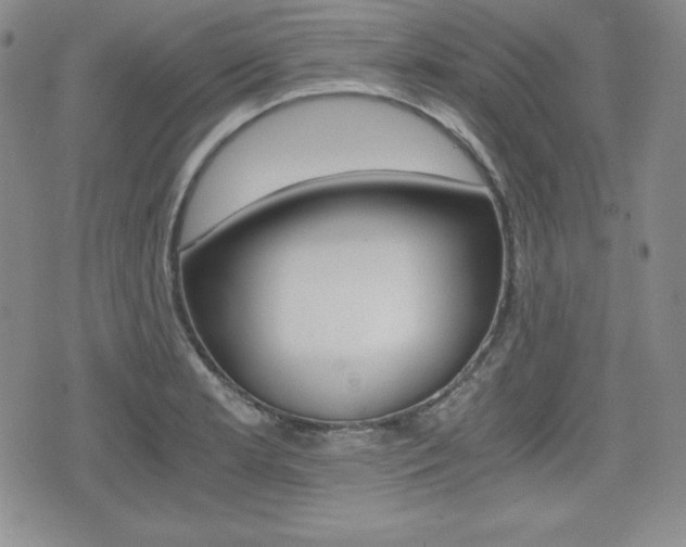 X0000076051181200609220902