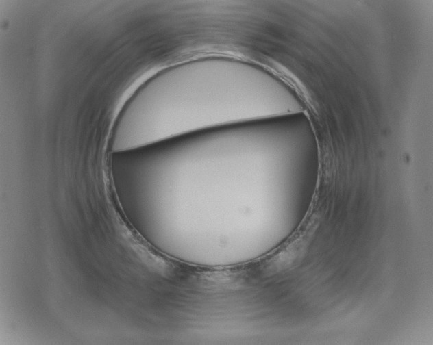 X0000076051182200609220902