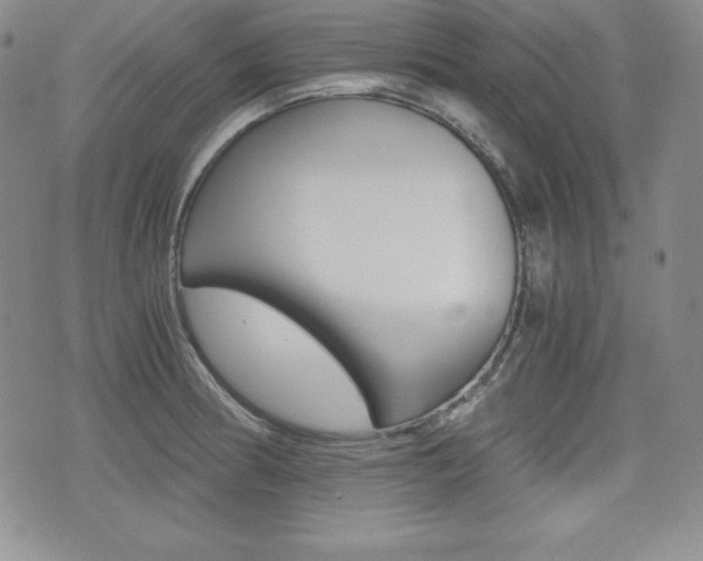 X0000076051186200609220902