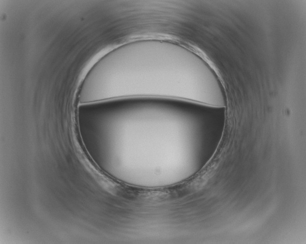 X0000076051187200609220902