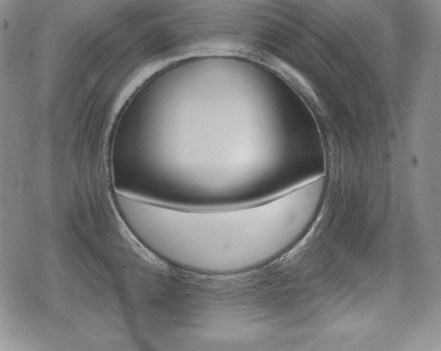 X0000076051192200609220902