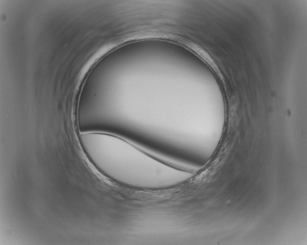 X0000076051197200609220902