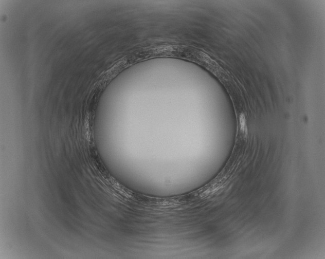 X0000076051203200609220901