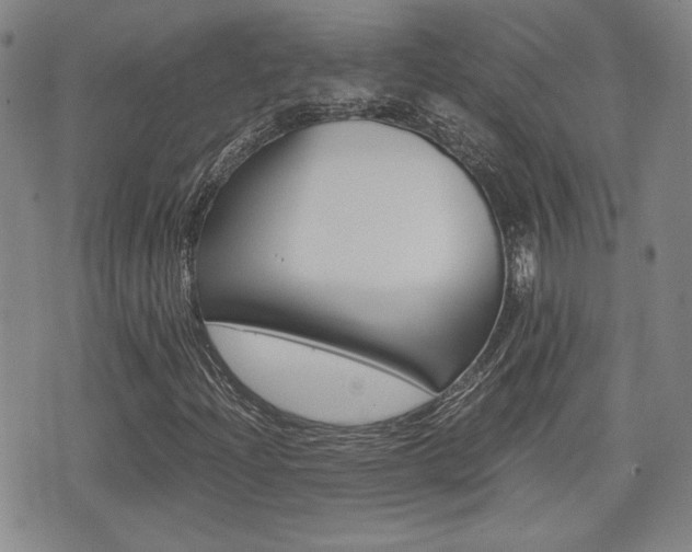 X0000076051204200609220901