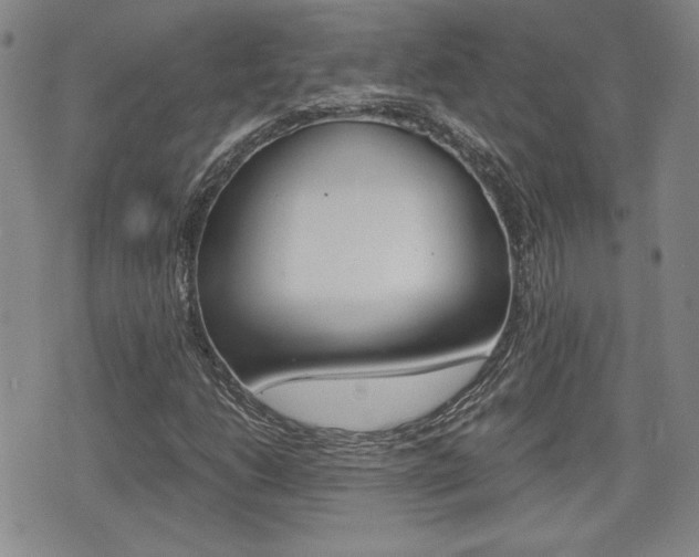 X0000076051206200609220901