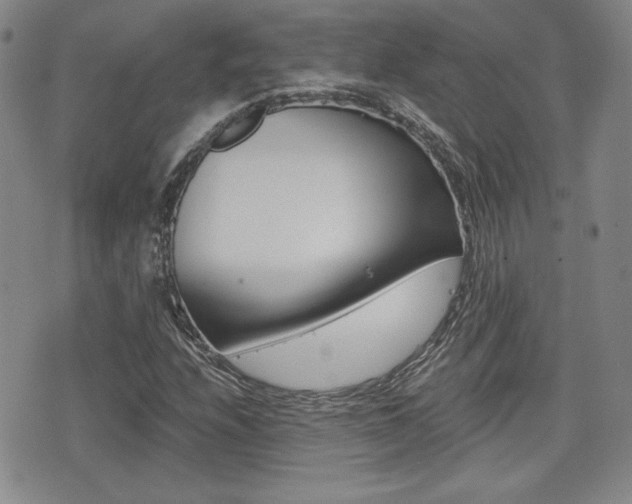 X0000076051208200609220901