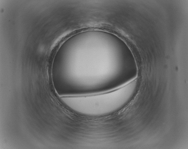 X0000076051214200609220901