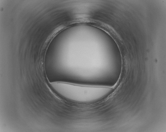 X0000076051225200609220901