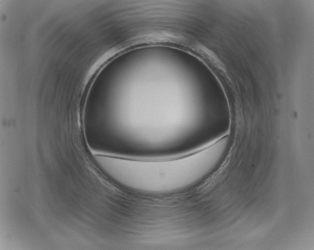 X0000076051226200609220901