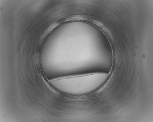 X0000076051233200609220901