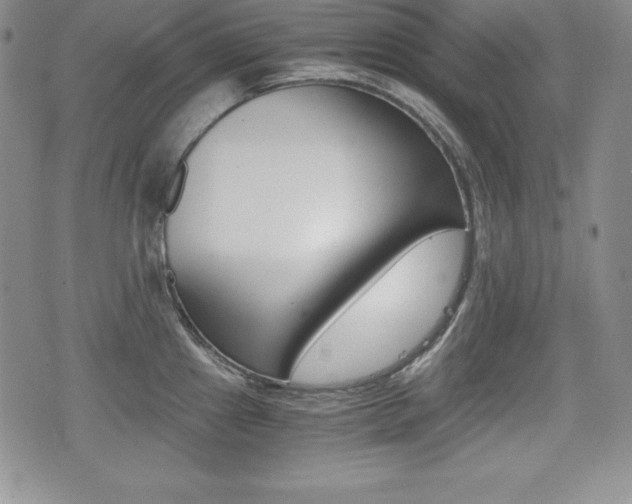 X0000076051241200609220901