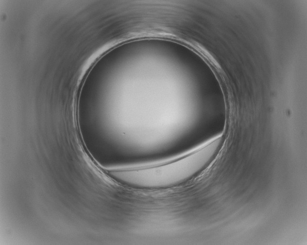 X0000076051246200609220901