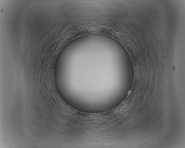 X0000076051249200609220901