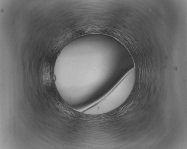 X0000076051250200609220901