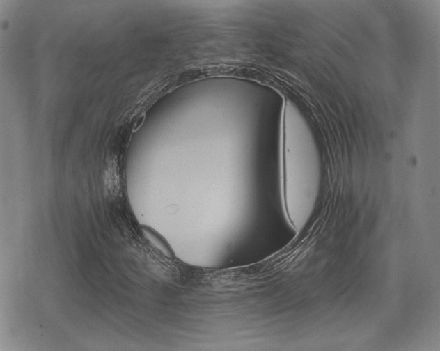 X0000076051252200609220901