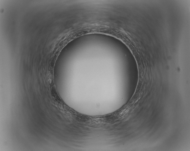 X0000076051253200609220901