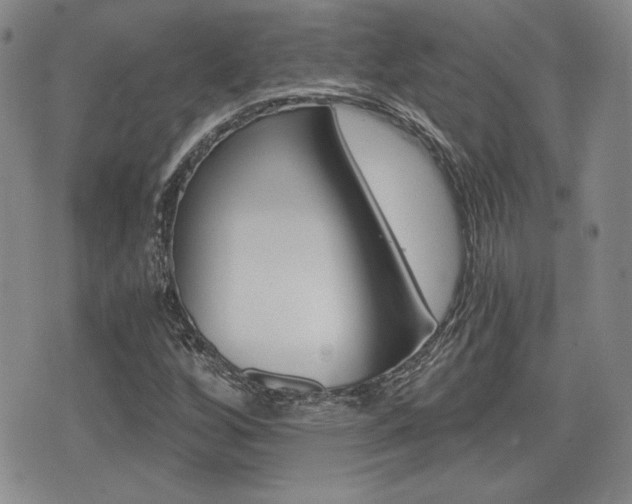 X0000076051256200609220901