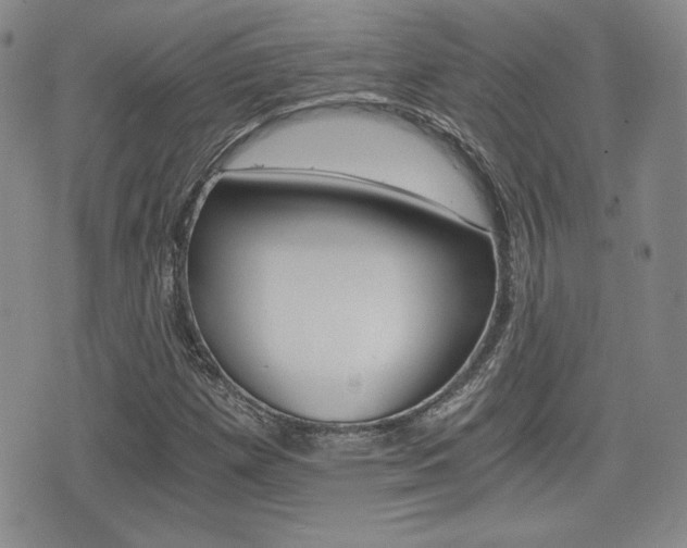 X0000076051257200609220901