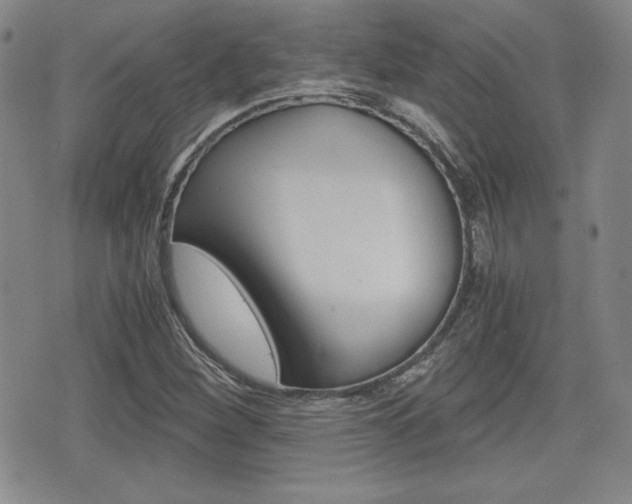 X0000076051260200609220901
