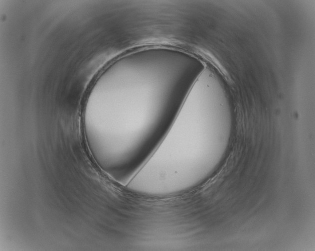 X0000076051268200609220900