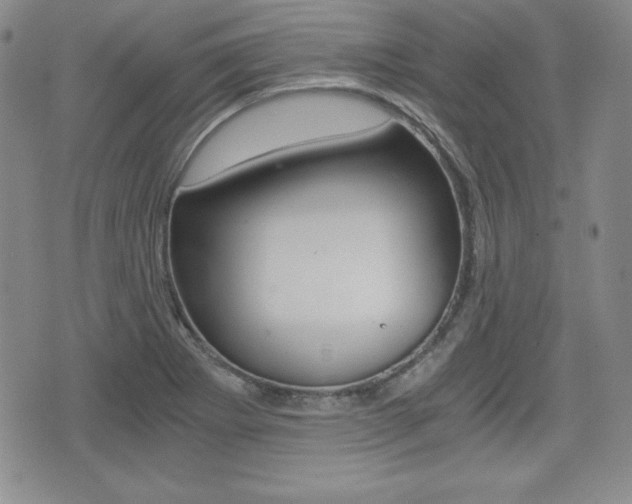 X0000076051273200609220900