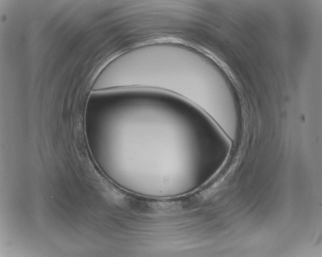 X0000076051281200609220900
