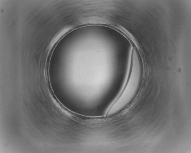 X0000076051293200609220900