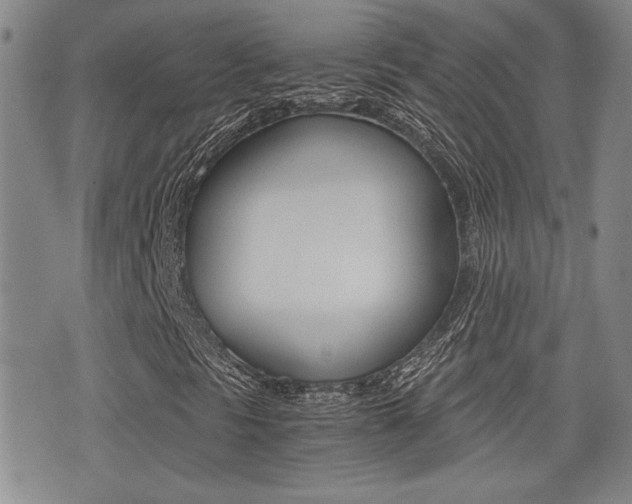 X0000076051297200609220859