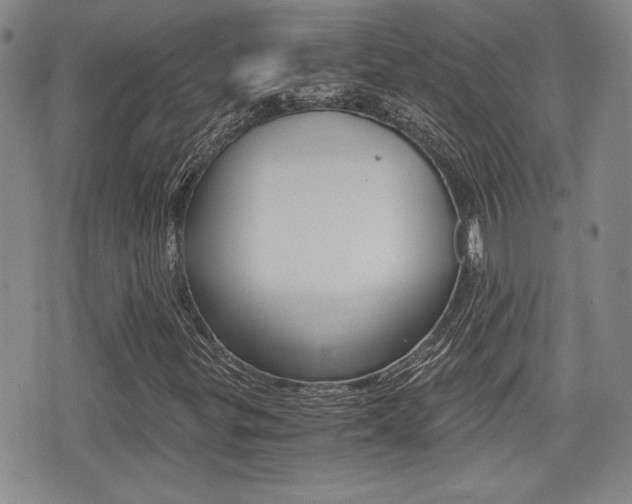 X0000076051299200609220859