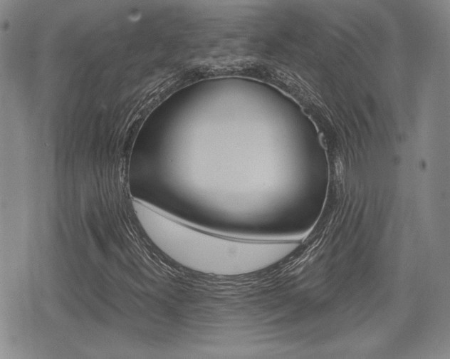 X0000076051300200609220859
