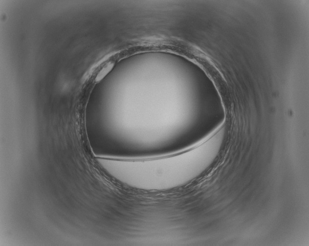 X0000076051304200609220859