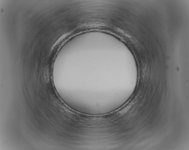 X0000076051306200609220859