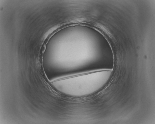X0000076051308200609220859
