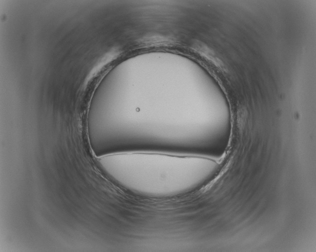 X0000076051309200609220859