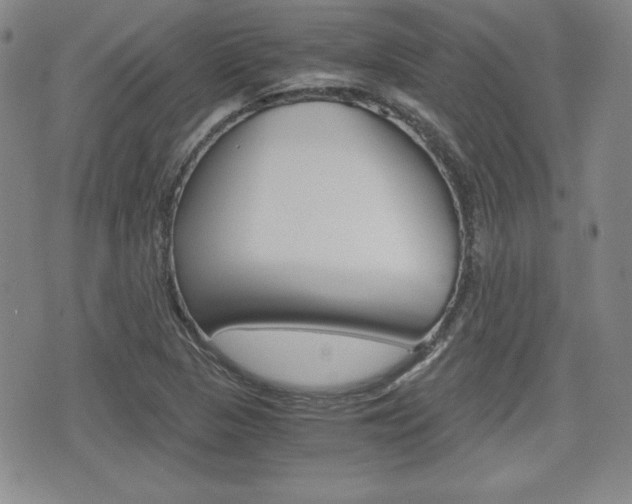 X0000076051313200609220859