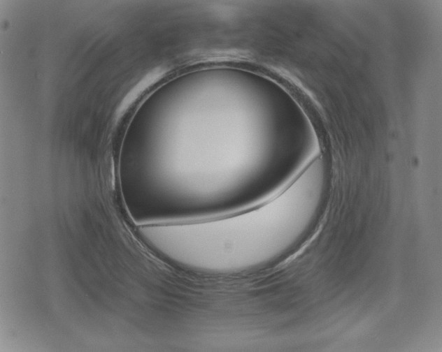 X0000076051317200609220859