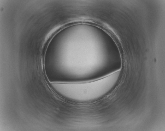 X0000076051320200609220900