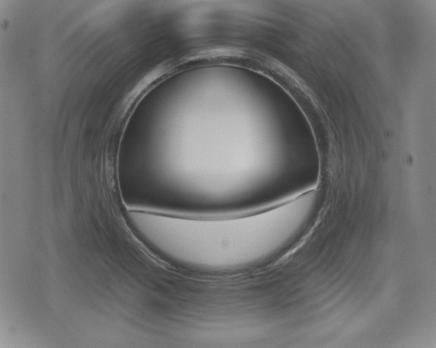 X0000076051321200609220900