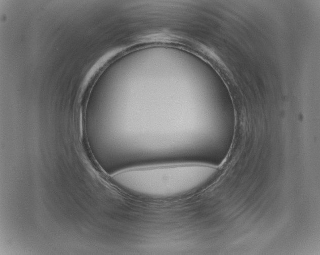 X0000076051323200609220900